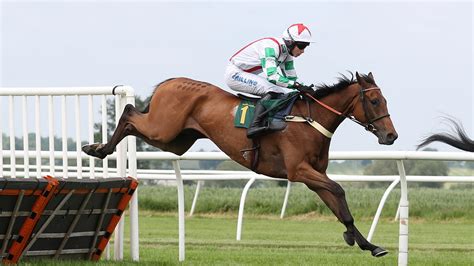 bet365 gold cup runners